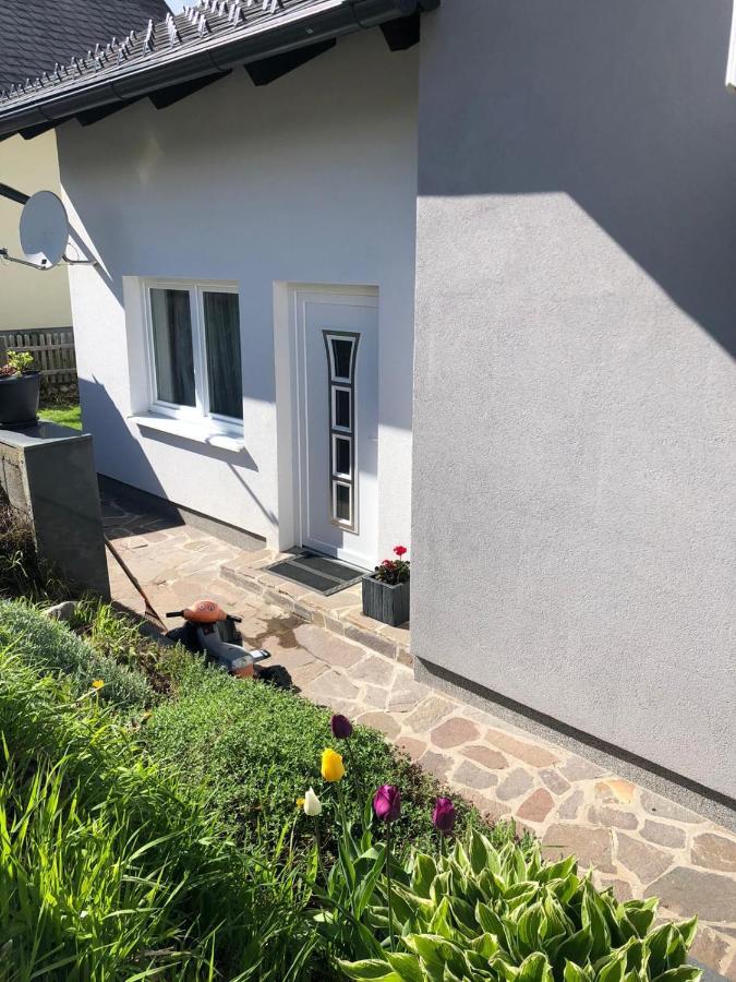 Apartment Sara Bad Mitterndorf Exterior foto
